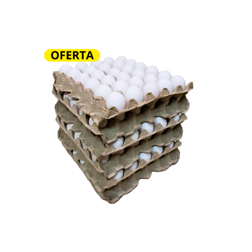 Segunda Blanco (Chico) OFERTA