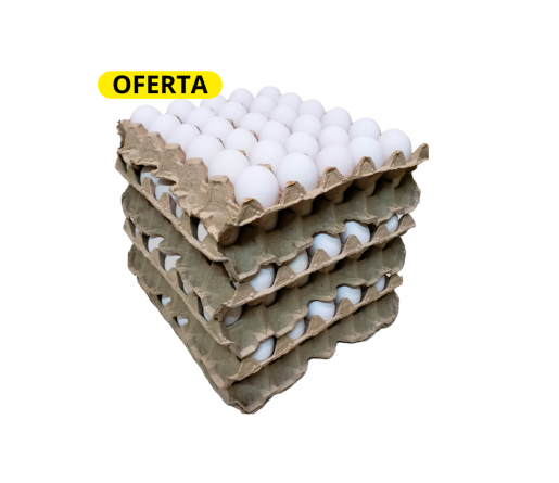Segunda Blanco (Chico) OFERTA