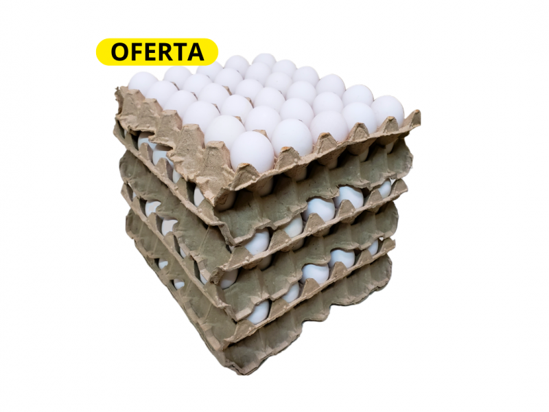 Segunda Blanco (Chico) OFERTA